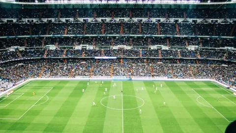 巴西总统严正声明：如美对中国再加关税，巴西将采取相应反制措施